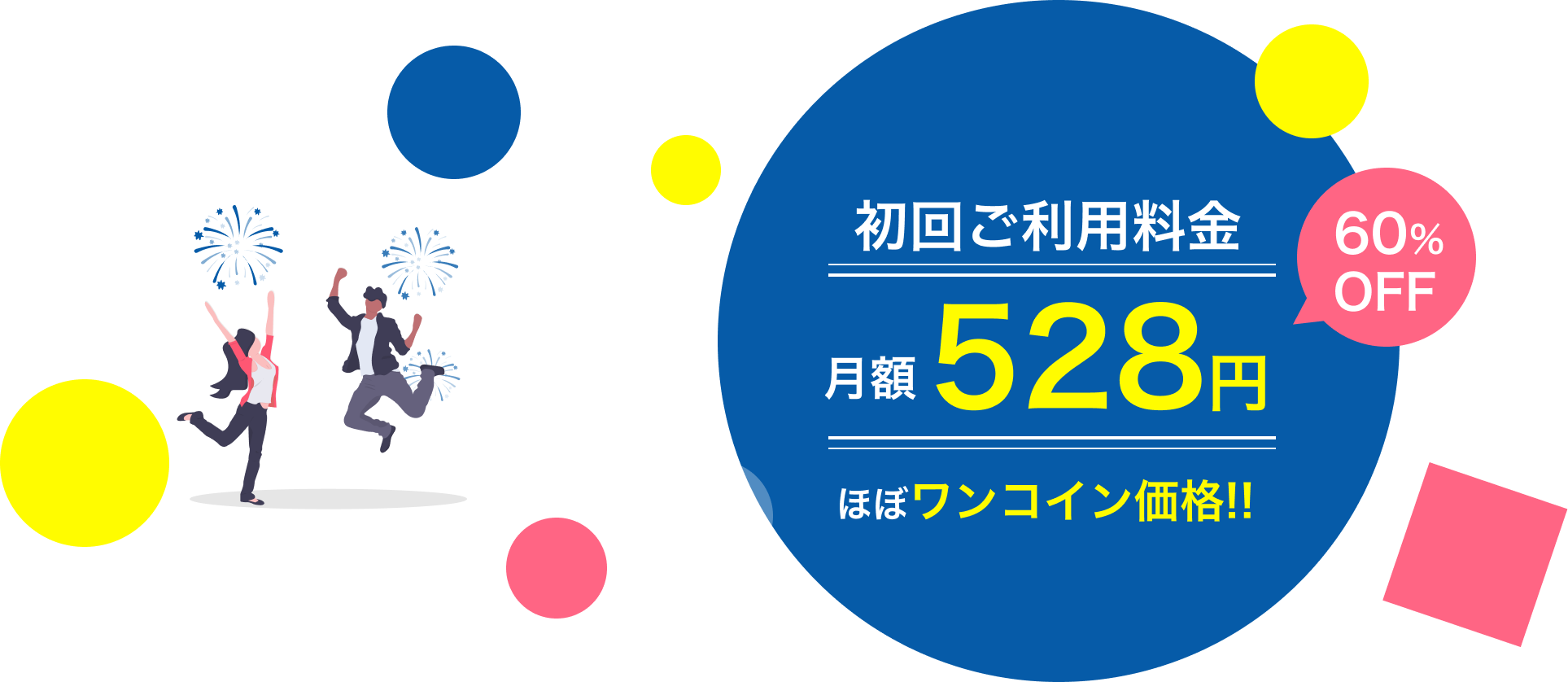 月額528円 ほぼワンコイン価格!!