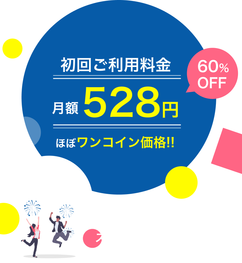 月額528円　ほぼワンコイン価格!!